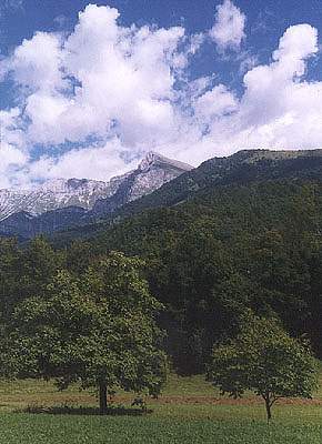 Pogled na JZ stran z dna doline So�e